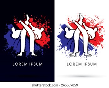 Taekwondo Sport ,Action fighting,designed using brush, on splash grunge background, logo, symbol, icon, graphic, vector.