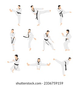 Taekwondo sport character set. Flat vector illustration isolated on white background