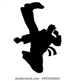 taekwondo vector icon logo illustration	