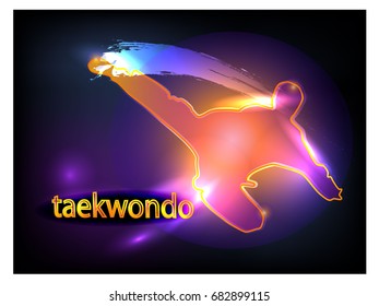 Taekwondo vector illustration
