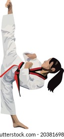 Taekwondo with a white background