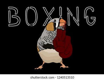 Taeniopygia guttata, zebra finch bird and boxing gloves. Training and sparring.  Hand drawn style print.  Postcard, card, poster design, website design, logo, banner. Vector illustration. 