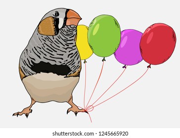 Taeniopygia guttata, zebra finch bird and air balloons.  Celebration. Hand drawn style print.  Postcard, card, poster design, website design, logo, banner. 