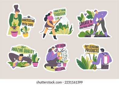 Tag design set with family farm product advertising. Flat man woman character harvesting with care, seasonal products, vector illustration. Healthy food with amazing quality sticker collection