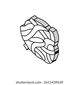 tagliatelle pasta isometric icon vector. tagliatelle pasta sign. isolated symbol illustration