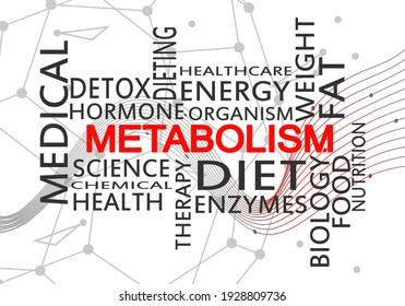 Tags cloud of metabolism. Words collage. Infographic illustration