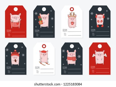 Tags collection. New 2019 Year posters with cute pig and winter slogan. Symbol of the year in the Chinese calendar. Vector cartoon isolated illustration. Year of yellow pig.