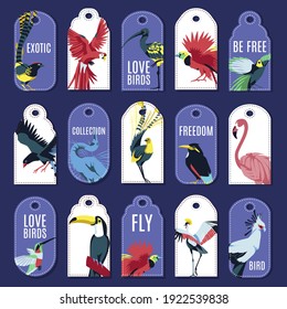 Tags with exotic birds collection. Colorful price and gift tags with beautiful tropical birds, bright paper labels of various shapes flat vector illustration