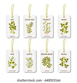 Tags with legumes plants with leaves, pods and flowers. Vector illustration.