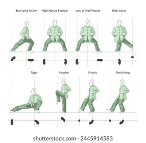 Tai Chi stances. 8 Basic Stances Vector Illustration. Bow and arrow hight horce  low or half horce high lotus  tiger  rooster  empty and stretching stances.