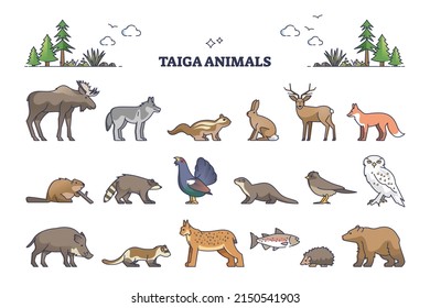 Taiga animals collection with natural habitat creatures type outline set. Isolated wildlife elements group with environment and climate typical living birds, mammals and fishes vector illustration.