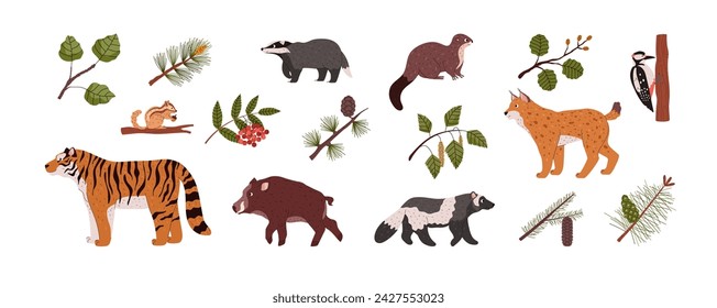 Animales de Taiga, conjunto de ilustración vectorial de estilo de dibujos animados aislados sobre fondo blanco. Tigre salvaje del norte, lince, jabalí, nutria y otros, diferentes plantas. Iconos simples para el diseño.