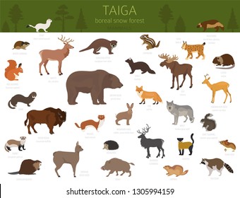 Aerial Animals Chart