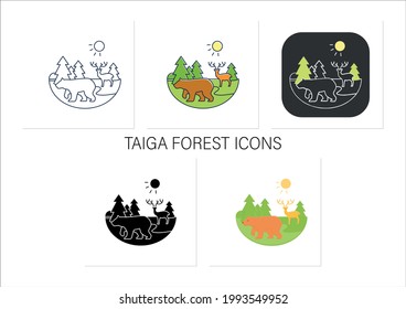 Taiga forest icons set. Boreal forest or coniferous forest. Living place for wild animals. Winter forest landscape.Collection of icons in linear, filled, color styles.Isolated vector illustrations