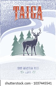 Taiga, Sika Deer on a background of fir trees, Russia, love, snowfall, colour poster, illustration, vector