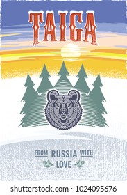 Taiga, stylized bear's head against the background of fir trees, dawn. Russia, love, vintage color poster illustration, vector.