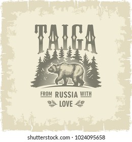Taiga, walking bear against the background of fir trees. Russia, love, sepia vintage illustration vector.