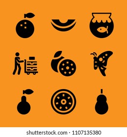 tail, citrus, insect and customer icon set. Vector illustration for web and design.