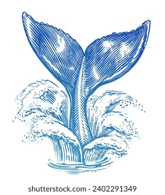Tail of humpback whale over sea water. Nautical theme, hand drawn vector illustration