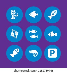 tail icon. 9 tail set with fish, chameleon and car parking vector icons for web and mobile app