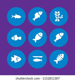 tail icon. 9 tail set with fish vector icons for web and mobile app