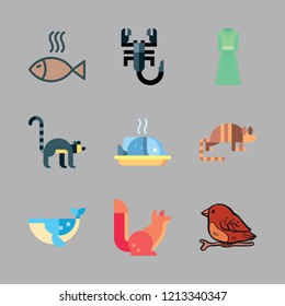 tail icon set. vector set about armadillo, fish, scorpion and dress icons set.