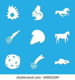 Tail icons set. set of 9 tail filled icons such as squirrel, horse, extinct sea creature, extinct fish