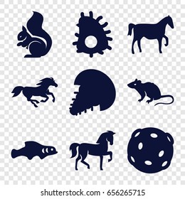 Tail icons set. set of 9 tail filled icons such as horse, mouse, squirrel, extinct sea creature