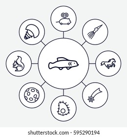 tail icons set. Set of 9 tail outline icons such as squirrel, horse, mouse toy, extinct sea creature, extinct fish