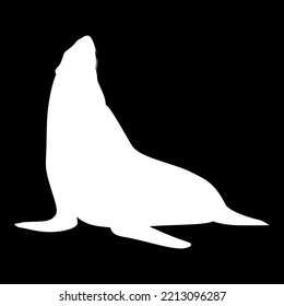 Tail Raised Seal Head Whiskers Vector