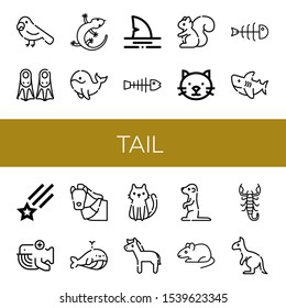tail simple icons set. Contains such icons as Parrot, Fins, Lizard, Whale, Shark, Fishbone, Squirrel, Cat, Shooting star, Horse, Meerkat, can be used for web, mobile and logo