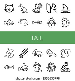 tail simple icons set. Contains such icons as Cat, Shark, Kangaroo, Rat, Fishbone, Squirrel, Monkey, Lizard, Fish bone, Shooting star, Whale, can be used for web, mobile and logo