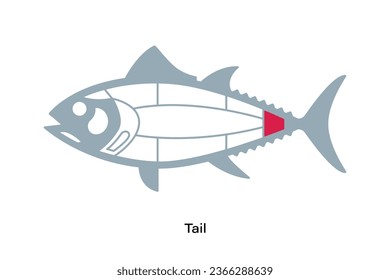 Tail. Tuna Cuts line diagram.  Japanese style