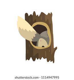 Tail of wolf sticking out of hollow tree, hollowed out old tree and cute animal cartoon character inside vector Illustration on a white background