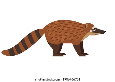 Tailed exotic animal. Cartoon cute fluffy character of wildlife, endangered beast of nature, vector illustration of coati isolated on white background