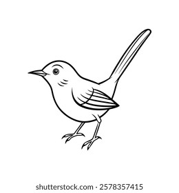 tailorbird of a line art vector