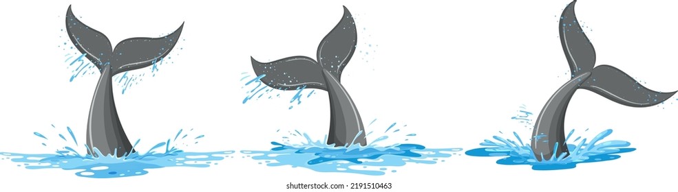 Tails of a whale in the water set illustration