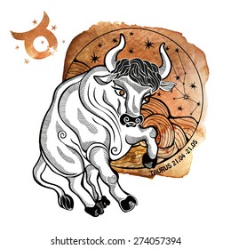 Tairus zodiac sign.Horoscope constellation,star in circle composition.Brown Watercolor stein,hand painting spot.White background.Symbol,sign of earth.Bull wild  animal.Artistic Vector  Illustration. 
