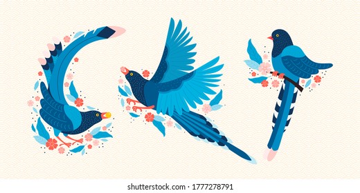 Taiwan blue magpie. Symbol of Taiwan Urocissa caerulea. Exotic birds of Taiwan, China and of Asia. Blue cartoon bird and pink sakura blossoms. Hand drawn vector flat illustration in Scandinavian style