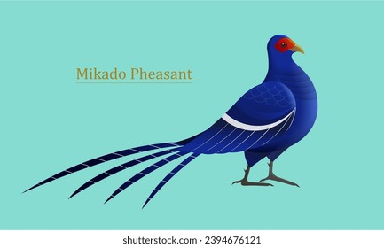 Taiwan Mikado Pheasant isolated on light blue background.