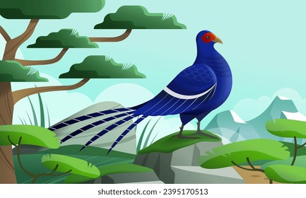 Taiwan Mikado Pheasant standing on a rock with beautiful mountains landscape in the background.