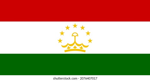 Vector de bandera de Tayikistán para diseñador.