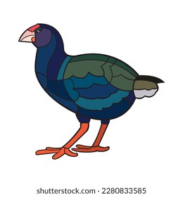 Takahe.Vektorgrafik einzeln auf weißem Hintergrund.