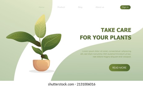 Take care for your plants massage. Ficus plant illustration. Gardening concept. Template for website, landing page. Flat vector illustration.