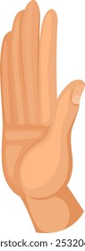 Toma el gesto de cinco manos. Mostrando el signo de aprobación
