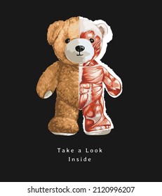 Take A Look Inside Slogan With Bear Doll Half Muscle Anatomy Vector Illustration