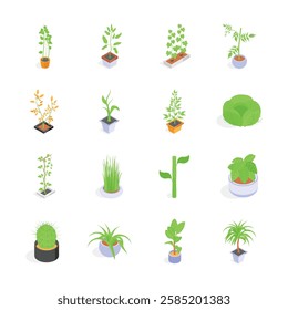 Take a look at this amazing indoor plants isometric icons in trendy design style