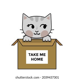 take me home, cat in the box as a present, cartoon style, vector illustraion 