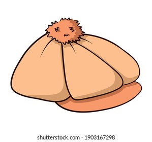 Takes a peach one with a pompom and a visor. Hand drawn isolated color illustration with dark outline on white background. Doodle.