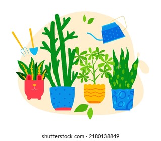 Taking care of flowers in pots - flat design style illustration. High quality colorful images of indoor plants with leaves that are watered, weeded and loved. Green corner and home decoration idea